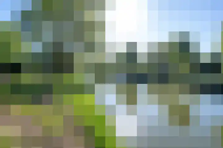 Houtrakkade 27 De Meern thumbnail 40