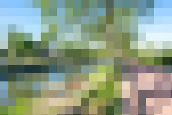 Houtrakkade 27 De Meern thumbnail 41