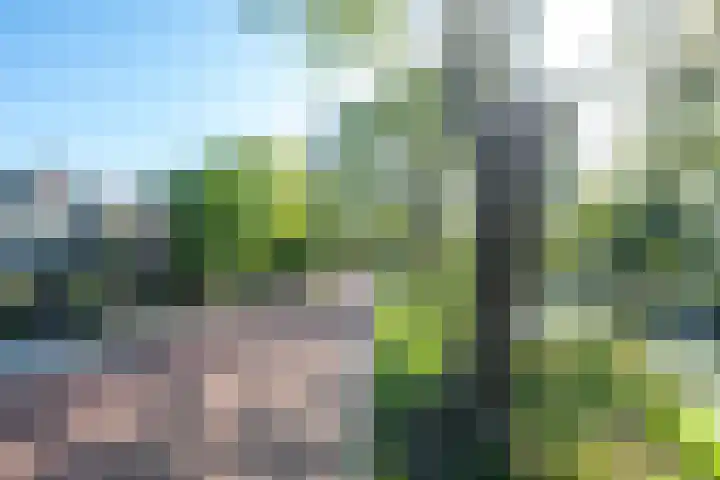 Houtrakkade 27 De Meern thumbnail 42