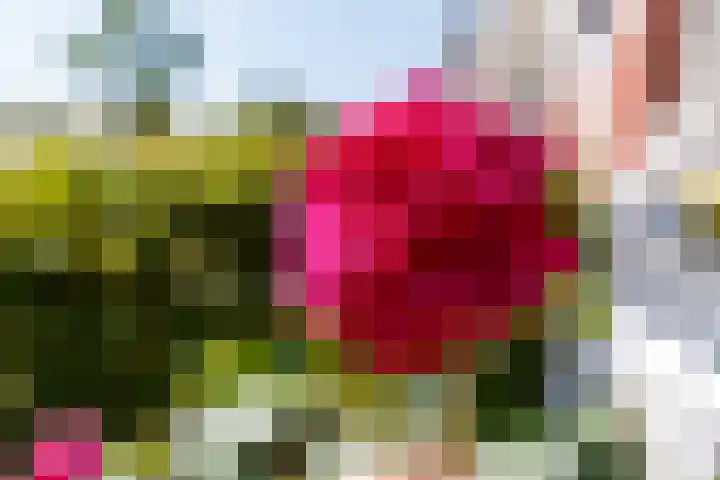Houtrakkade 30 De Meern thumbnail 21