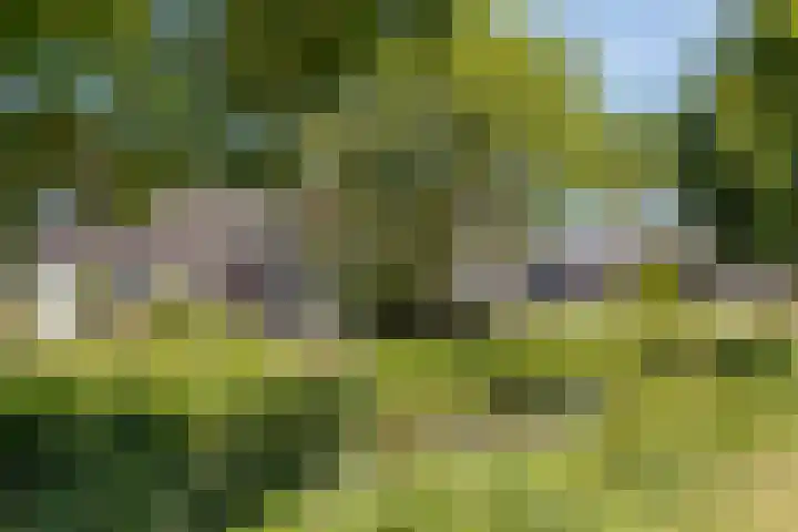 Houtrakkade 30 De Meern thumbnail 24