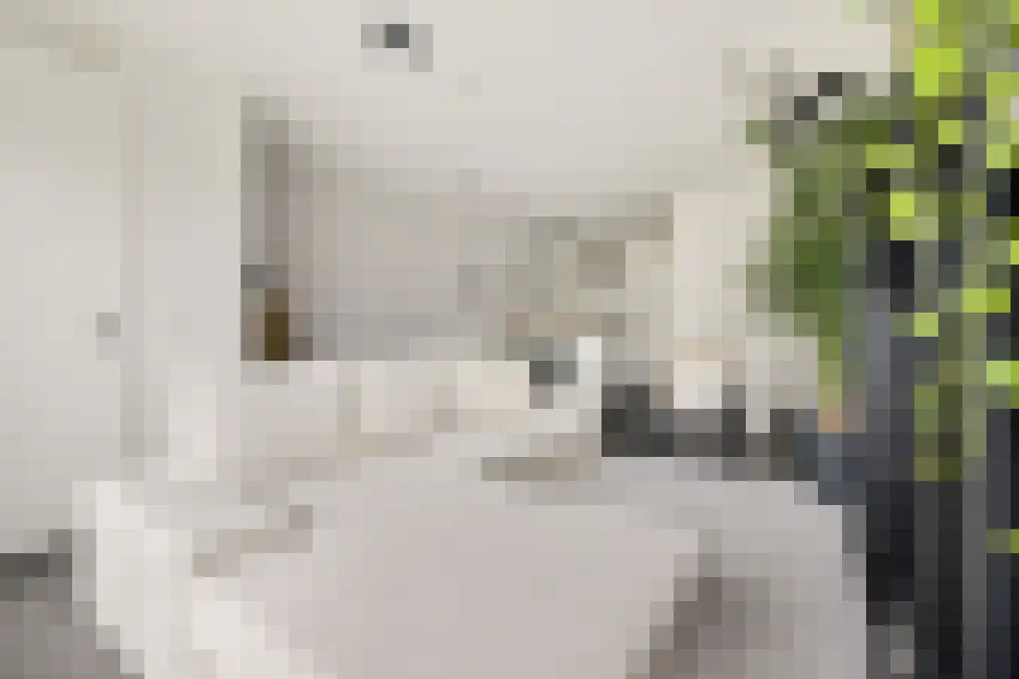 Houtrakkade 7 De Meern thumbnail 20