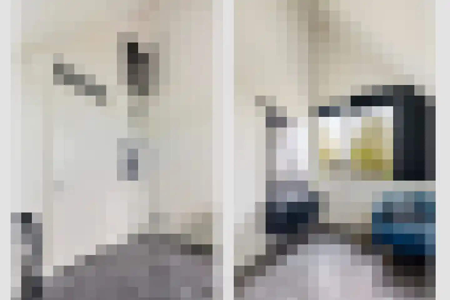 Houtrakkade 7 De Meern thumbnail 33