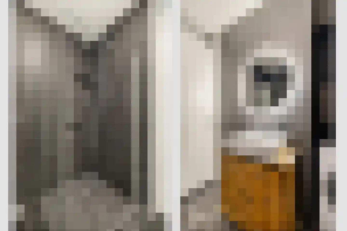Houtrakkade 7 De Meern thumbnail 35