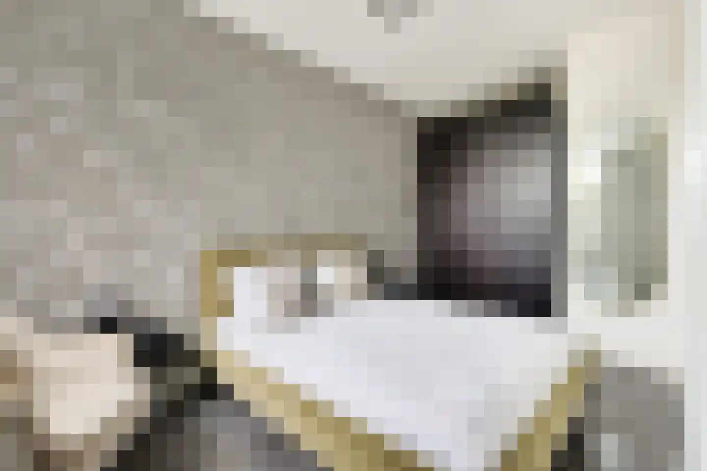 Houtrakkade 7 De Meern thumbnail 37
