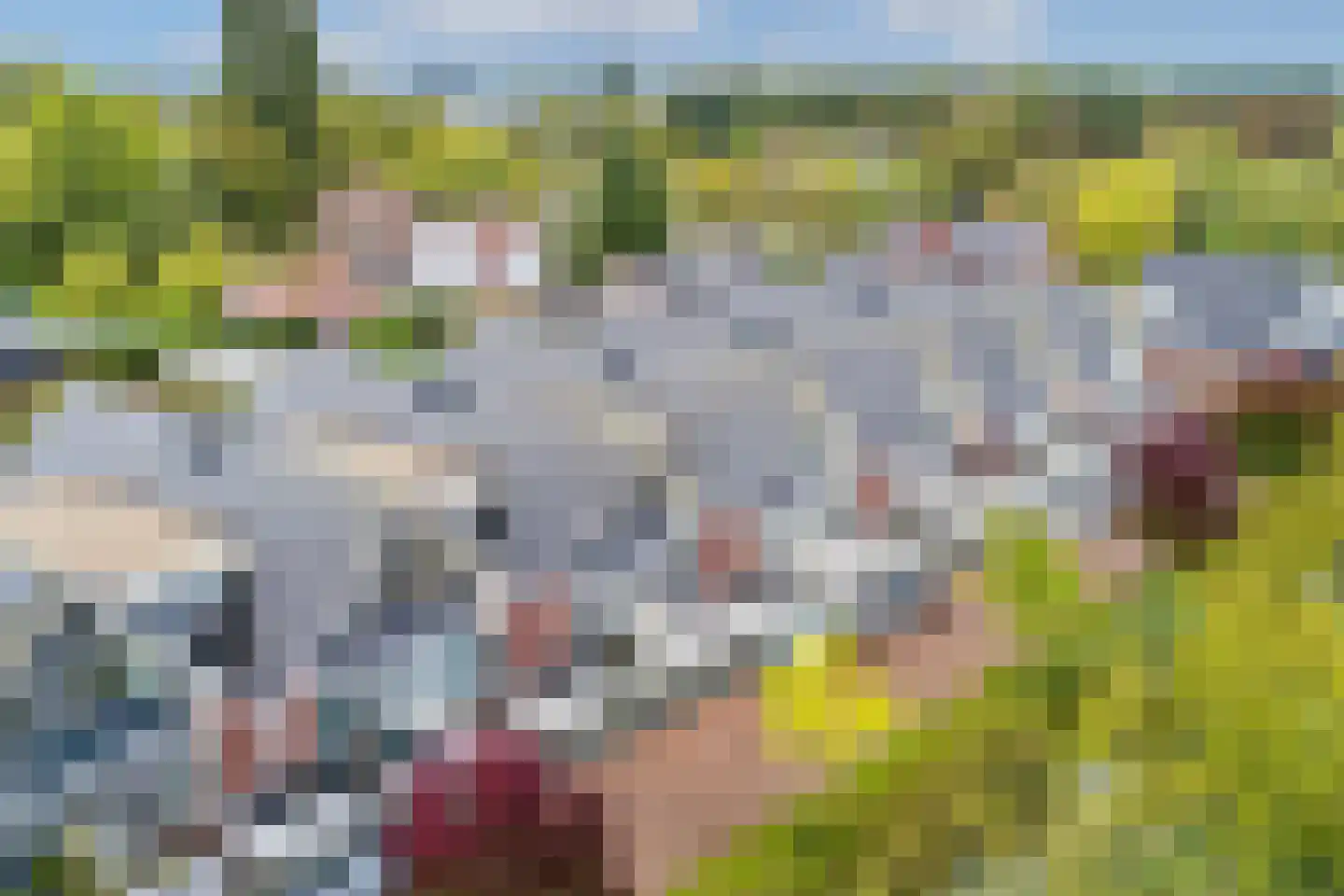Houtrakkade 7 De Meern thumbnail 4