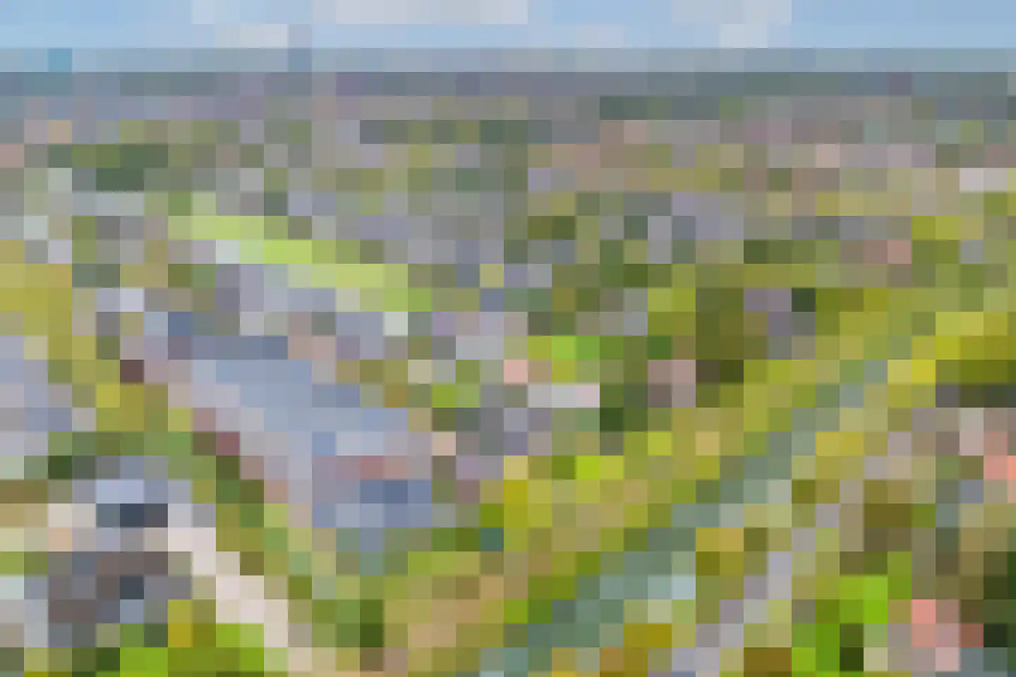 Houtrakkade 7 De Meern thumbnail 43