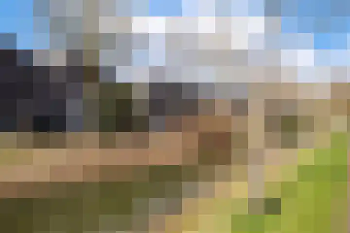 Houtrakkade 9 De Meern thumbnail 28