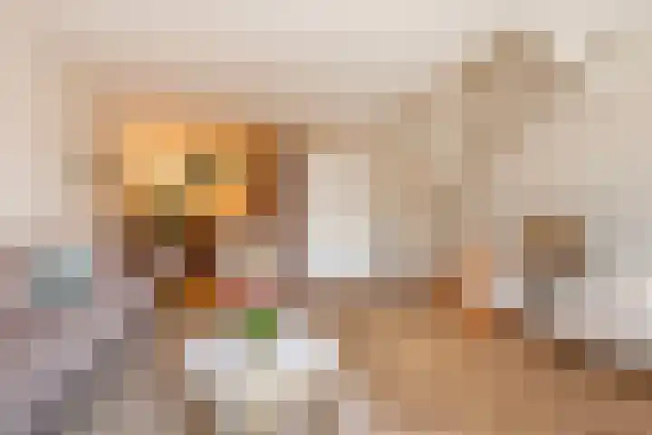 Houtrakkade 9 De Meern thumbnail 4