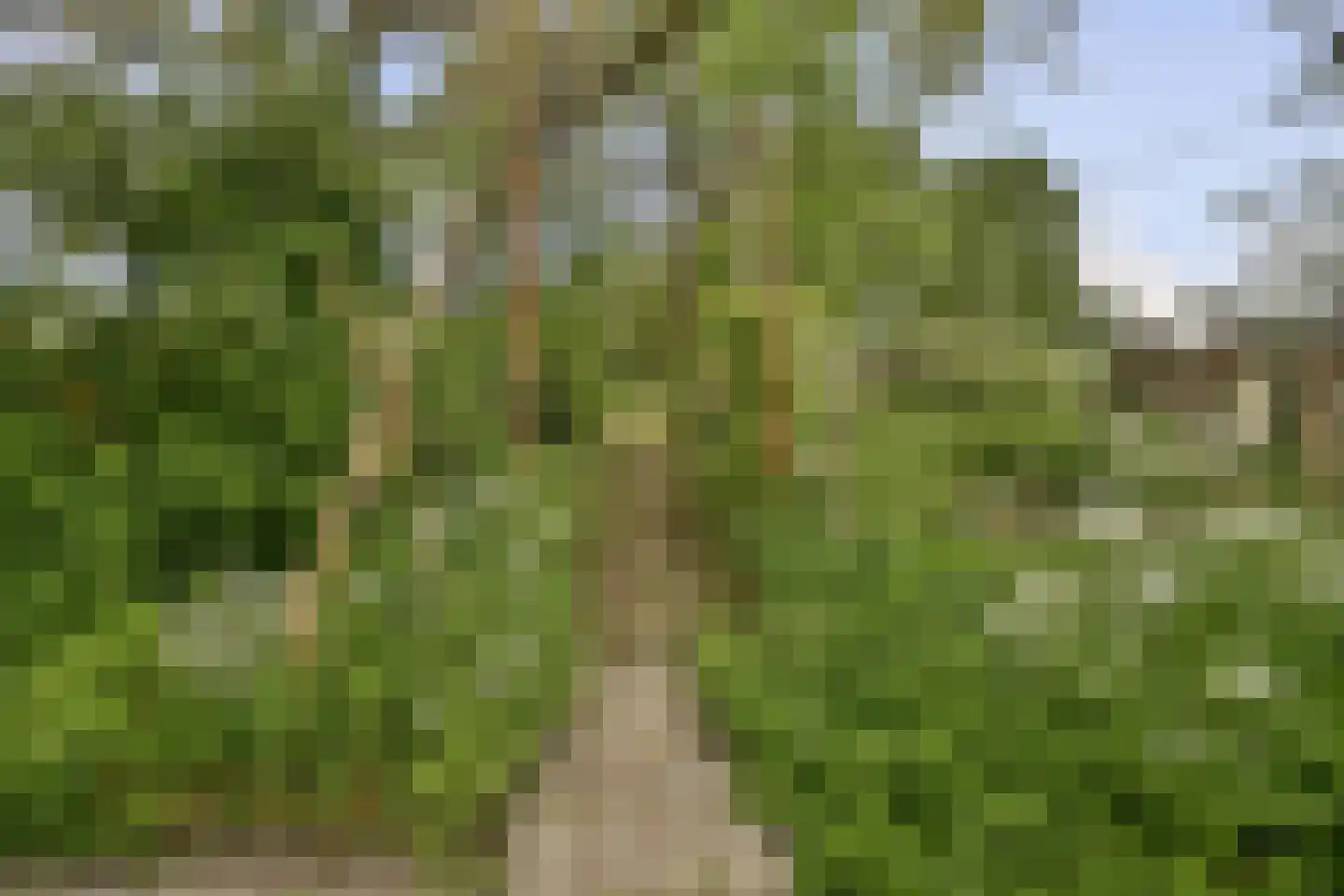 Houtrakkerweg 23 Halfweg thumbnail 20