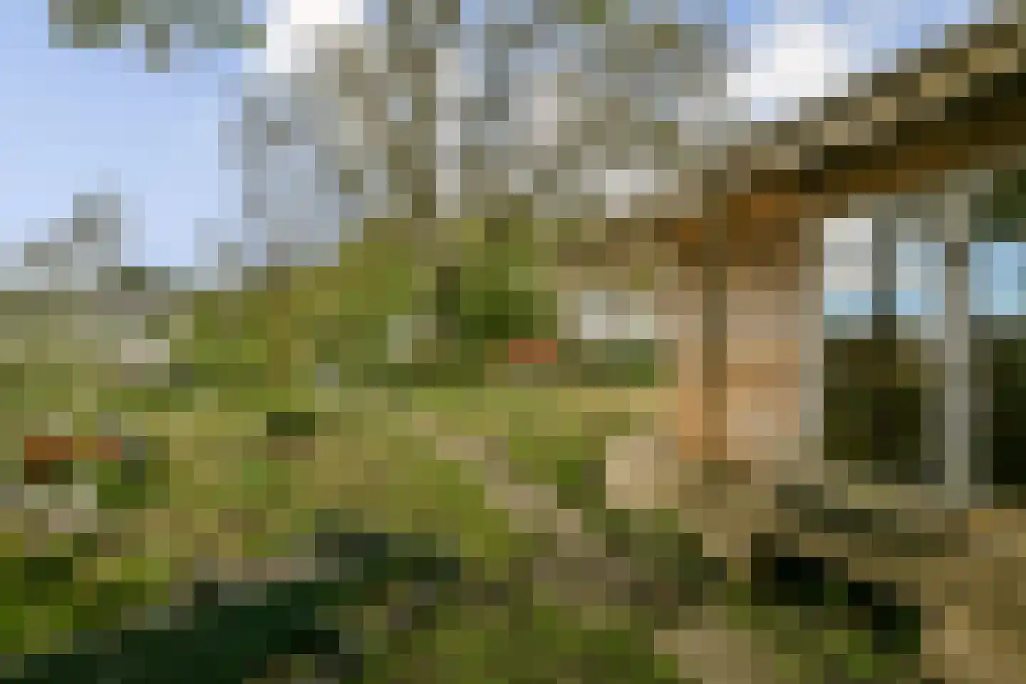 Houtrakkerweg 23 Halfweg thumbnail 22