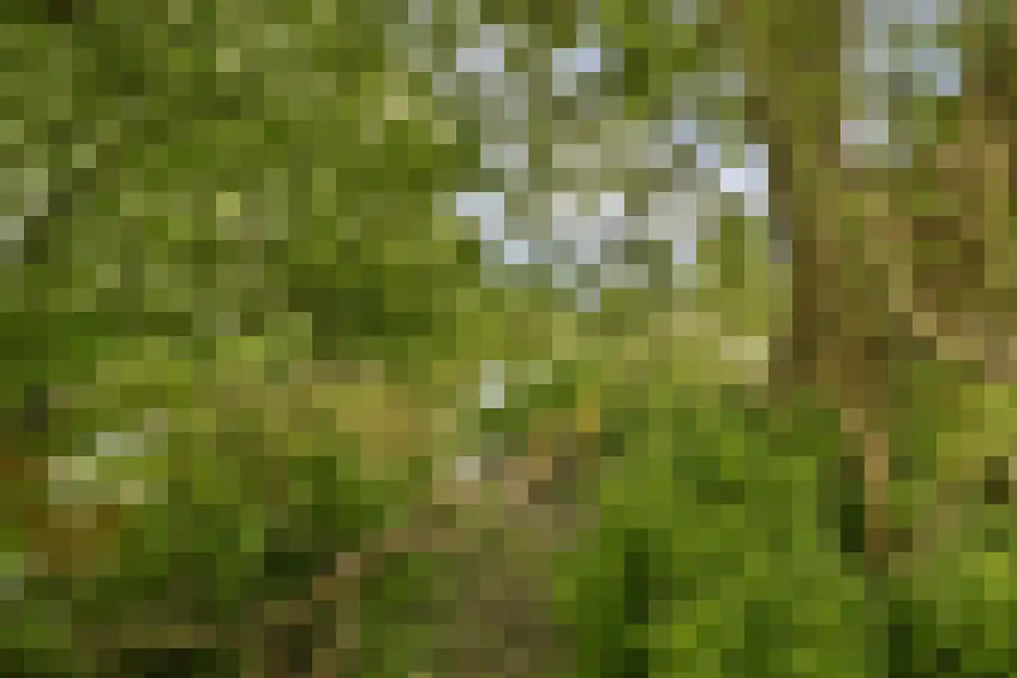 Houtrakkerweg 23 Halfweg thumbnail 23