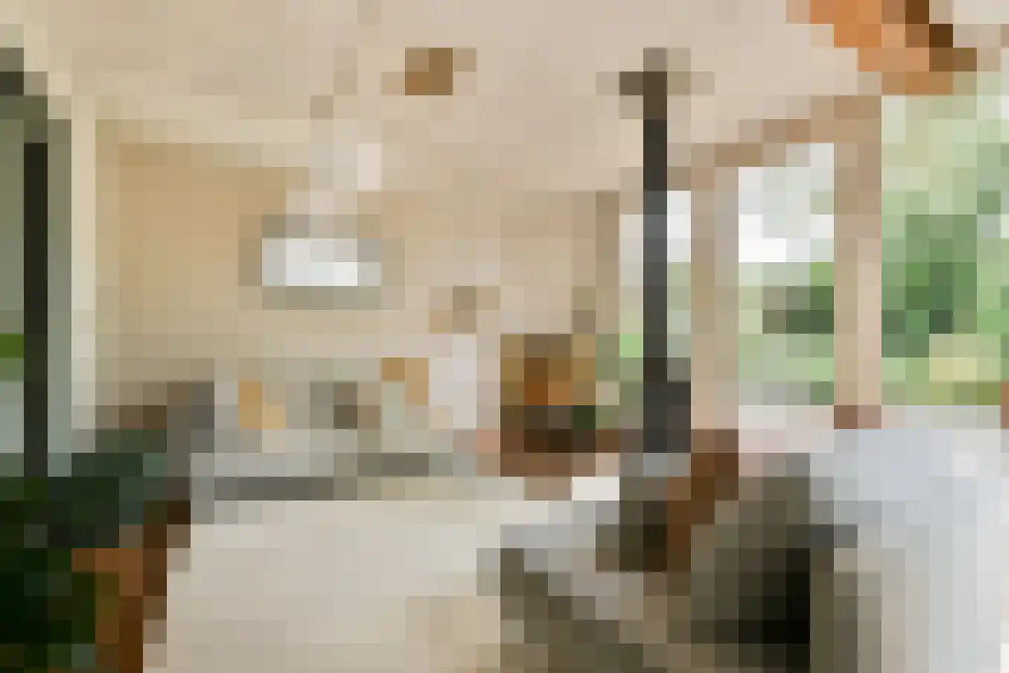 Houtrakkerweg 23 Halfweg thumbnail 4
