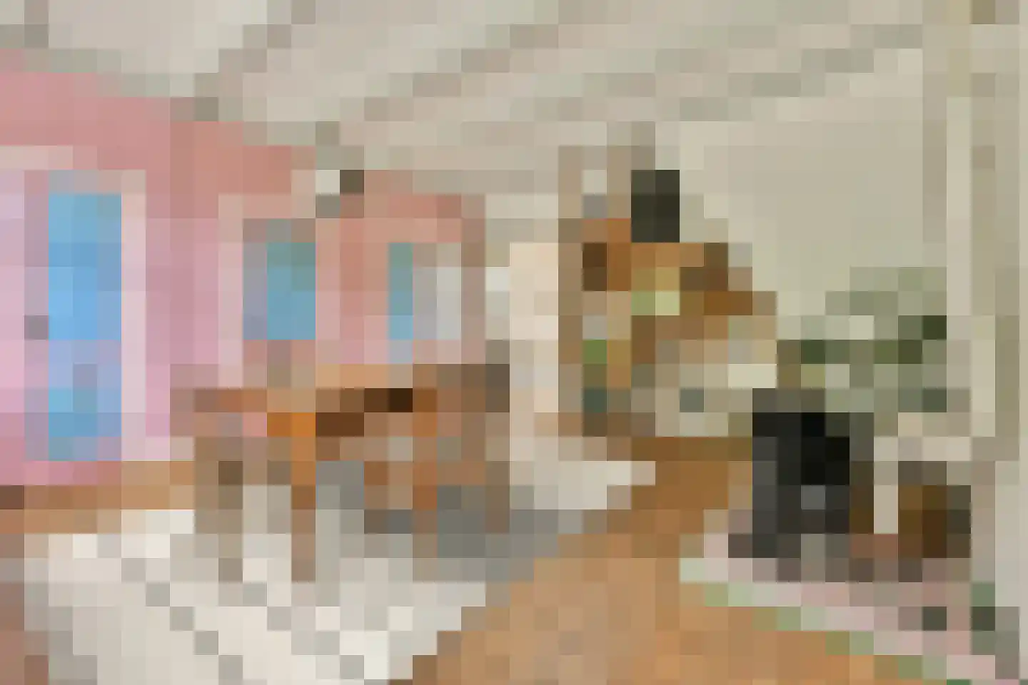 Houtrakkerweg 23 Halfweg thumbnail 7