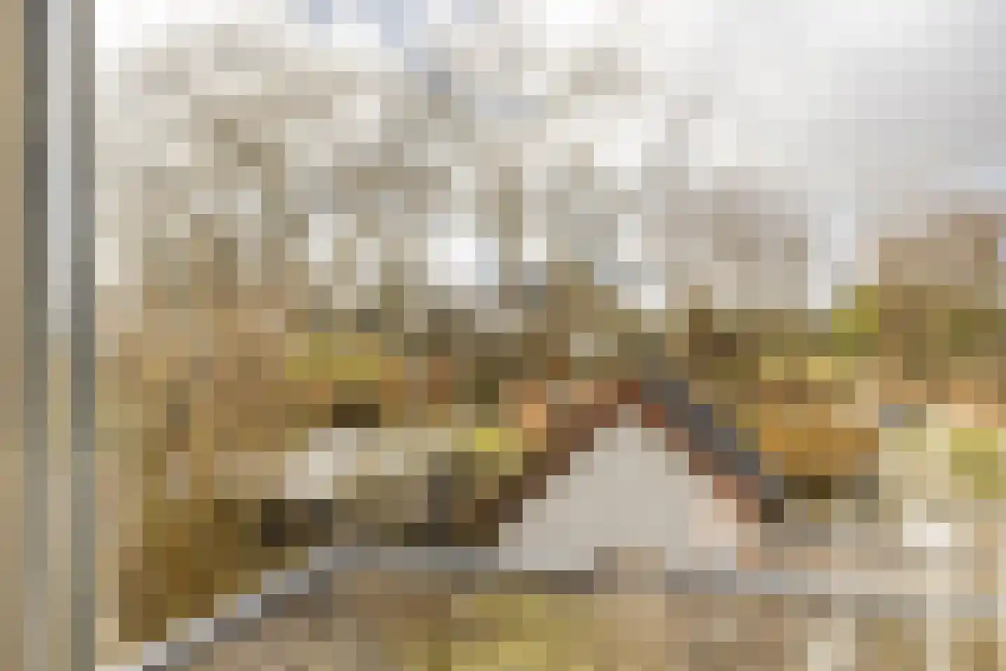 Houtrakkerweg 25 Halfweg thumbnail 16