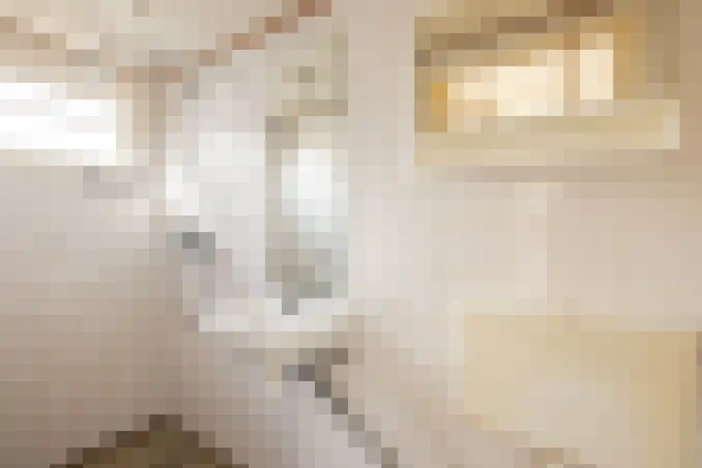 Houtrakkerweg 25 Halfweg thumbnail 23