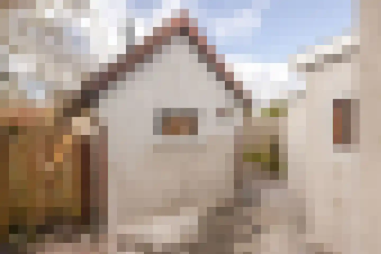 Houtrakkerweg 25 Halfweg thumbnail 24