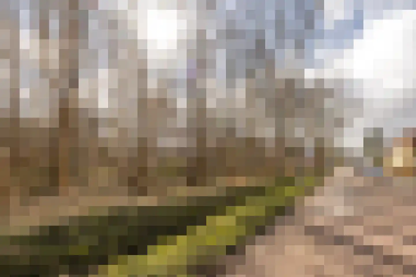 Houtrakkerweg 25 Halfweg thumbnail 30