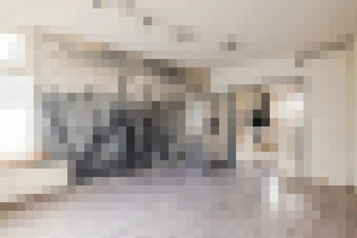 Houtrakkerweg 25 Halfweg thumbnail 4