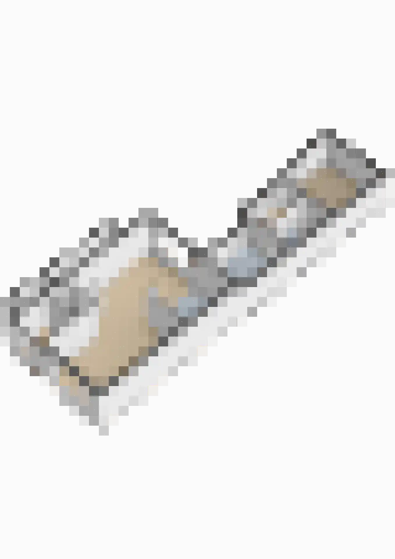 Houtrib 36 Lemmer thumbnail 42