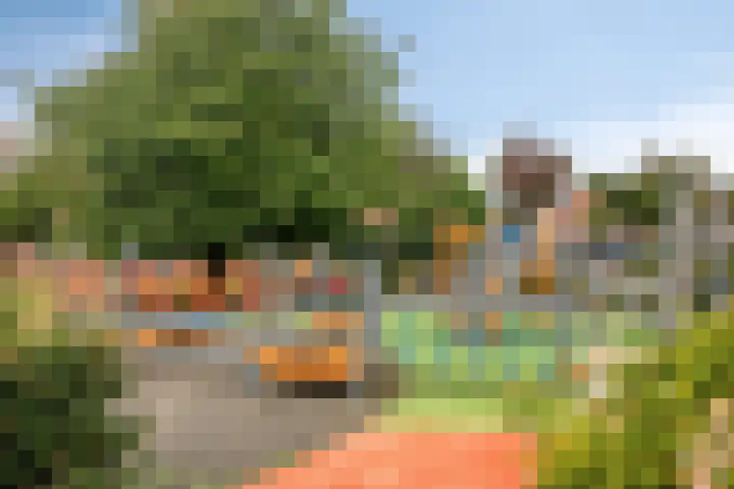 Houtrib 5 Huizen thumbnail 33