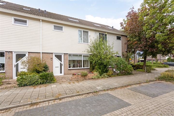 Houtrib 58 dans Monnickendam photo