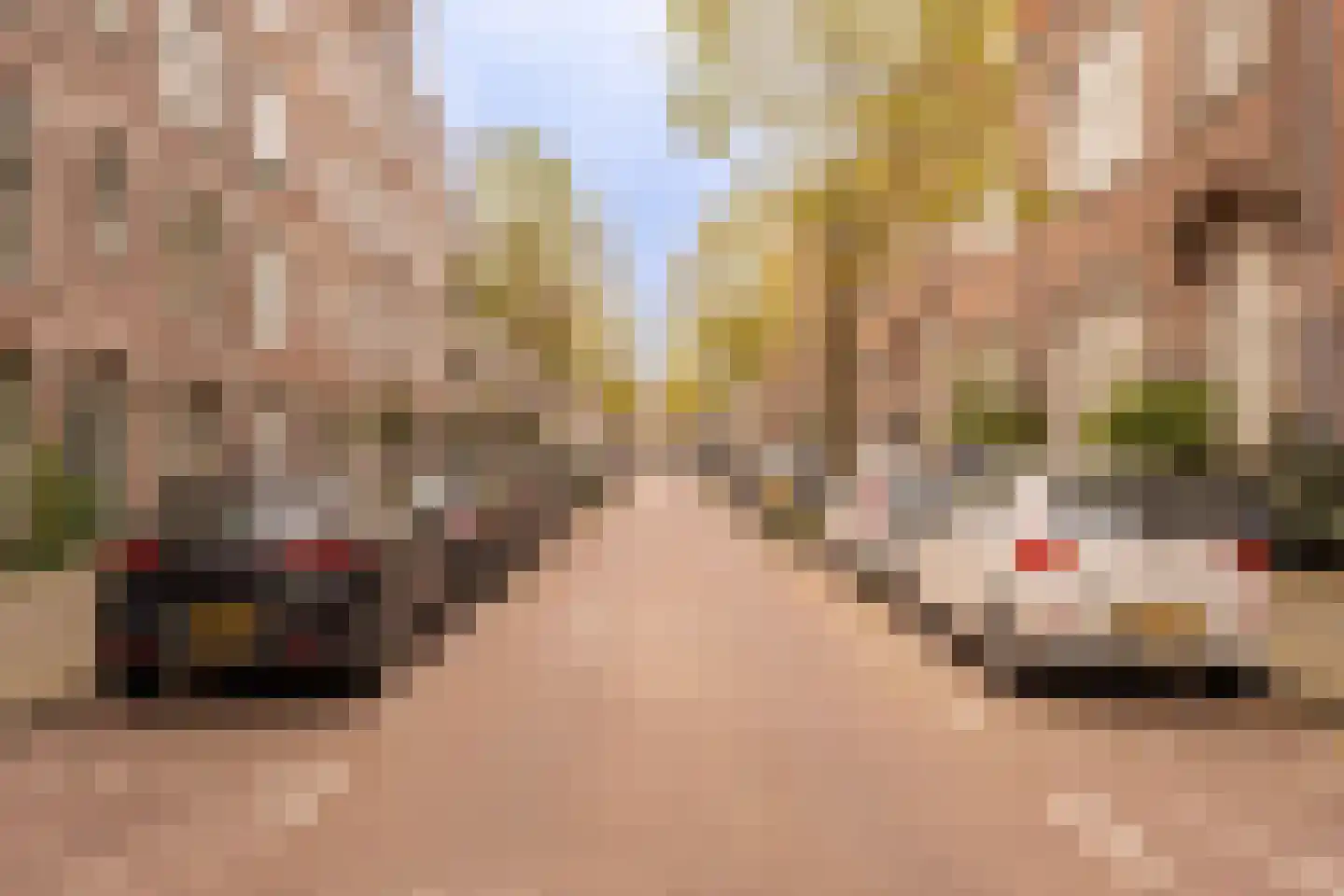 Houtrijkstraat 224 Amsterdam thumbnail 38