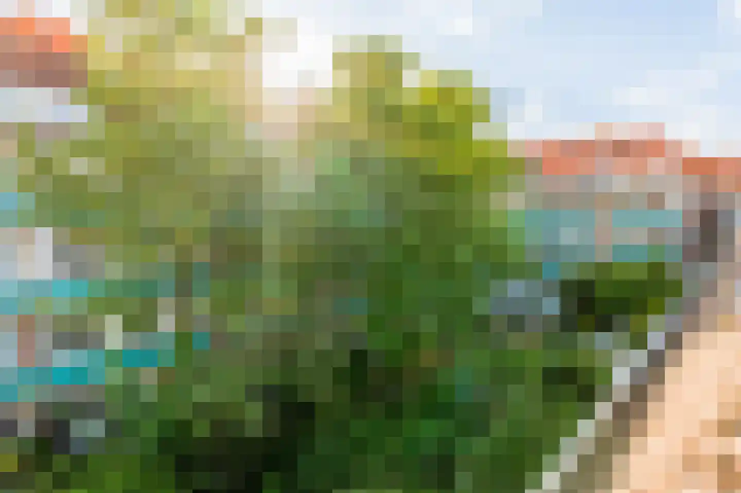 Houtrijkstraat 249 Amsterdam thumbnail 23