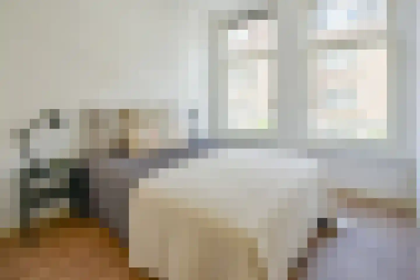 Houtrijkstraat 250 Amsterdam thumbnail 14