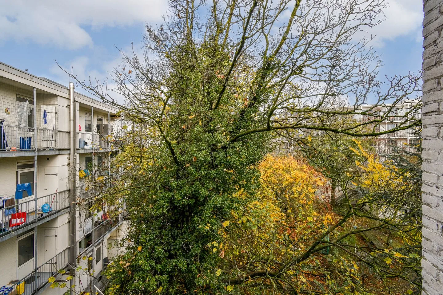 Houtrijkstraat 338 Amsterdam thumbnail 13