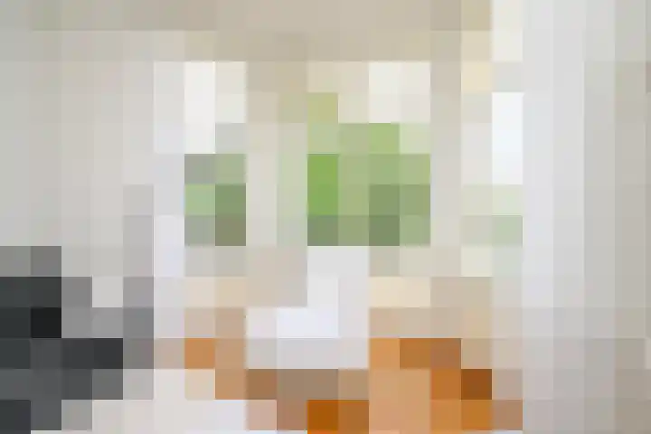 Houtrustlaan 22 Den Haag thumbnail 11