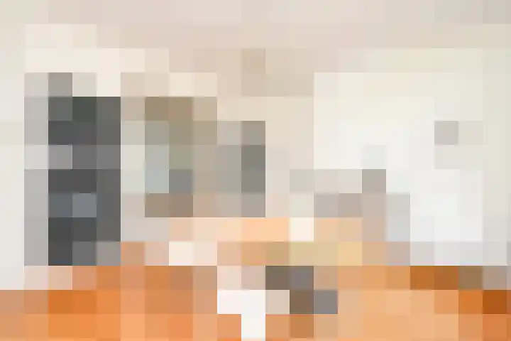 Houtrustlaan 22 Den Haag thumbnail 13
