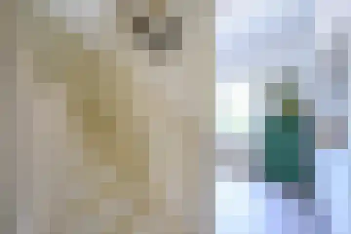 Houtrustlaan 22 Den Haag thumbnail 22