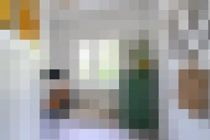 Houtrustlaan 22 Den Haag thumbnail 23