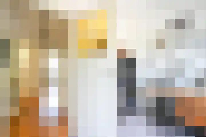 Houtrustlaan 22 Den Haag thumbnail 25