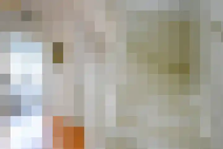 Houtrustlaan 22 Den Haag thumbnail 27