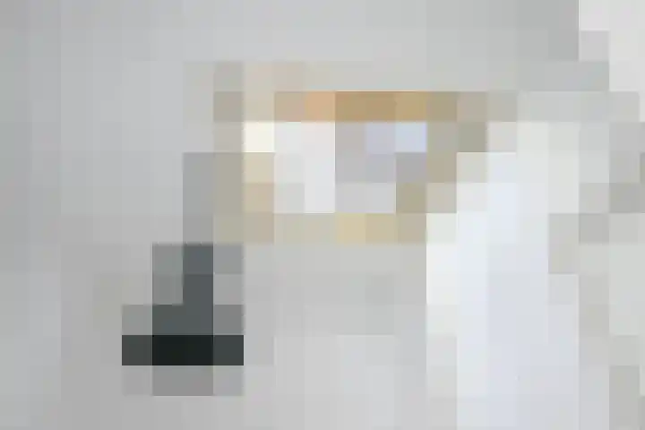 Houtrustlaan 22 Den Haag thumbnail 30