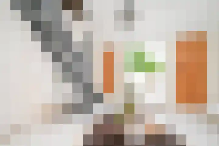 Houtrustlaan 22 Den Haag thumbnail 31