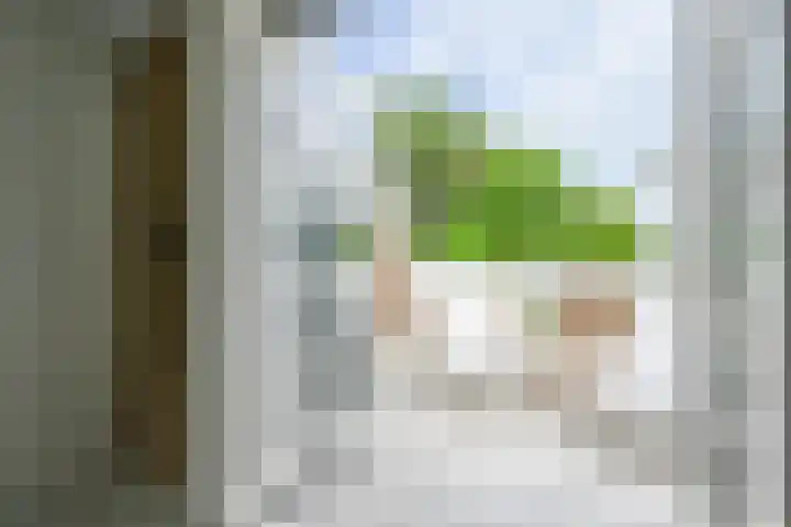 Houtrustlaan 22 Den Haag thumbnail 32