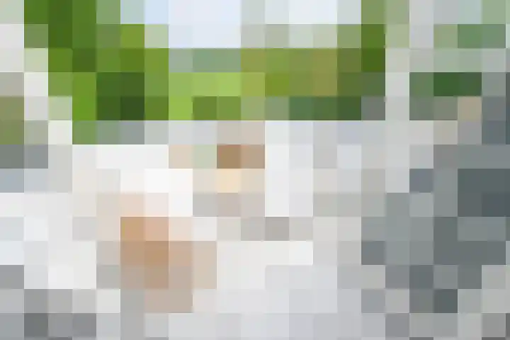 Houtrustlaan 22 Den Haag thumbnail 33