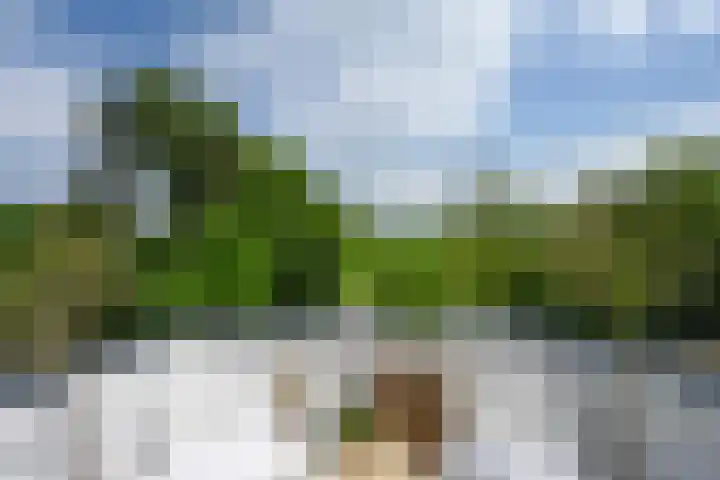 Houtrustlaan 22 Den Haag thumbnail 34