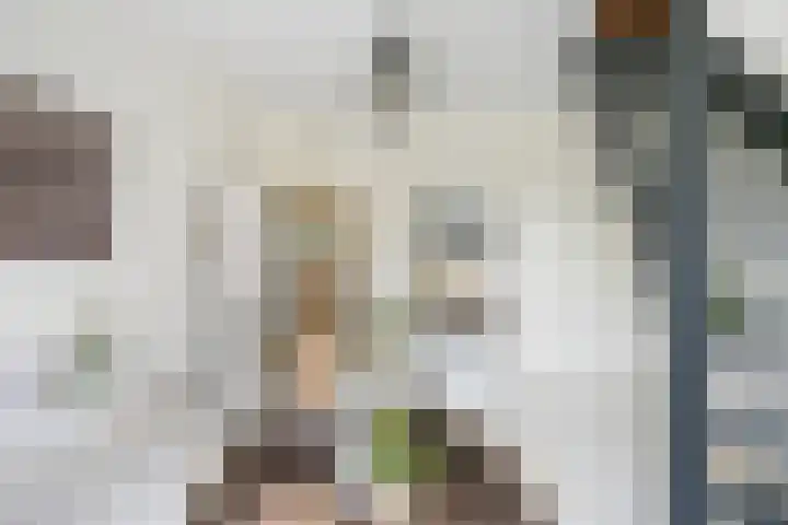 Houtrustlaan 22 Den Haag thumbnail 37