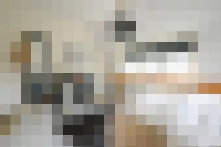Houtrustlaan 22 Den Haag thumbnail 39