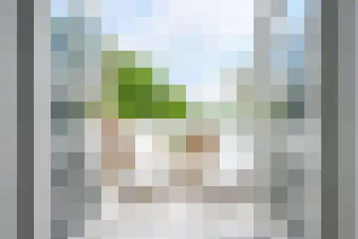 Houtrustlaan 22 Den Haag thumbnail 4