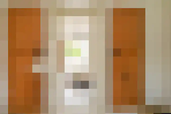 Houtrustlaan 22 Den Haag thumbnail 42