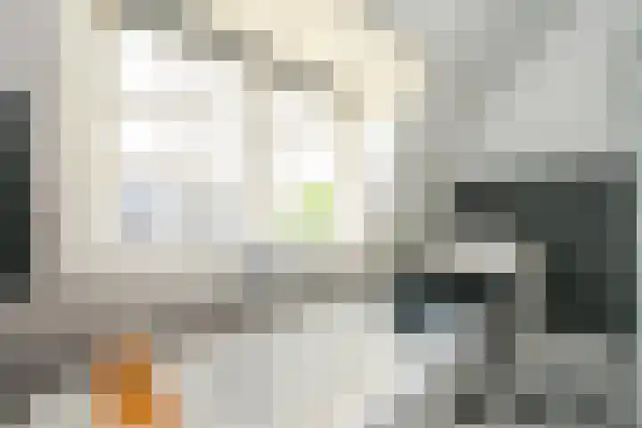 Houtrustlaan 22 Den Haag thumbnail 43