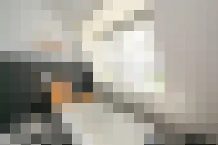 Houtrustlaan 22 Den Haag thumbnail 44