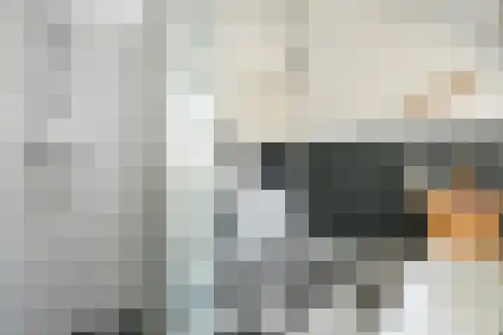 Houtrustlaan 22 Den Haag thumbnail 45