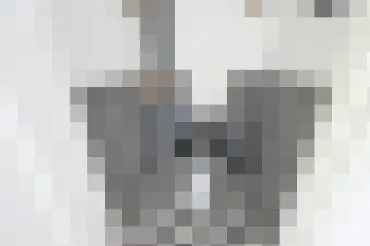 Houtrustlaan 22 Den Haag thumbnail 47
