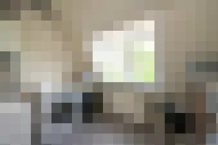 Houtrustlaan 22 Den Haag thumbnail 48